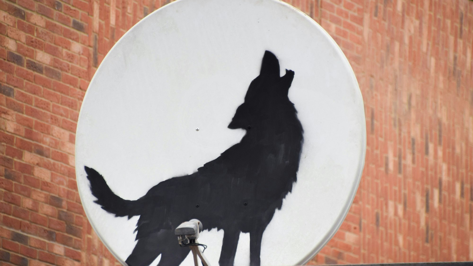 Der britische Künstler Banksy hat ein neues Kunstwerk enthüllt, das einen heulenden Wolf zeigt. Es wurde auf eine Satellitenschüssel gemalt, die auf dem Dach eines Geschäfts in Peckham im Süden Londons angebracht ist.