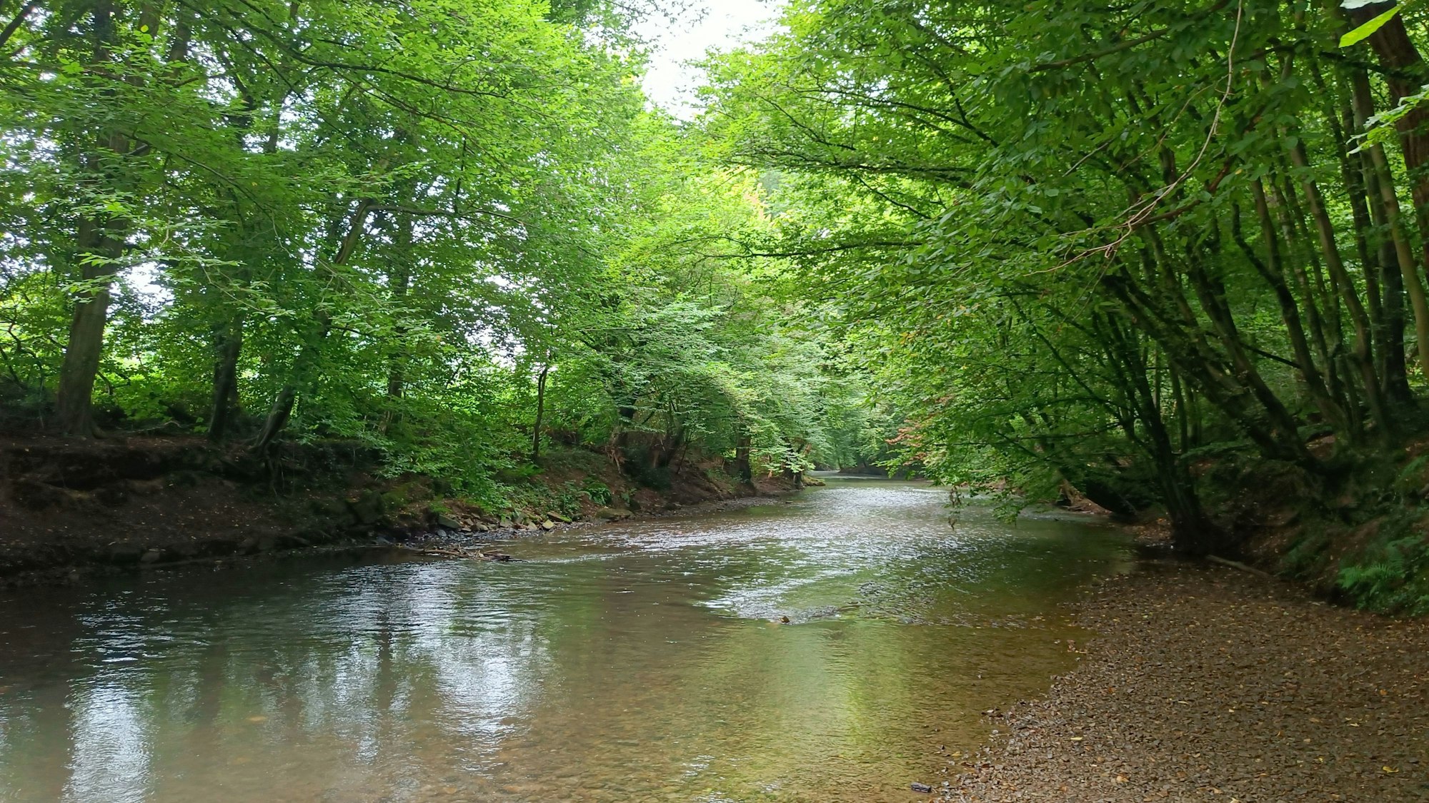 Die Dhünn bei Leverkusen Hummelsheim.