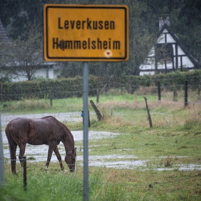 Ein Pferd steht im Starkregen auf einem Feld unter dem Ortsschild der Ortsteils Hummelsheim.