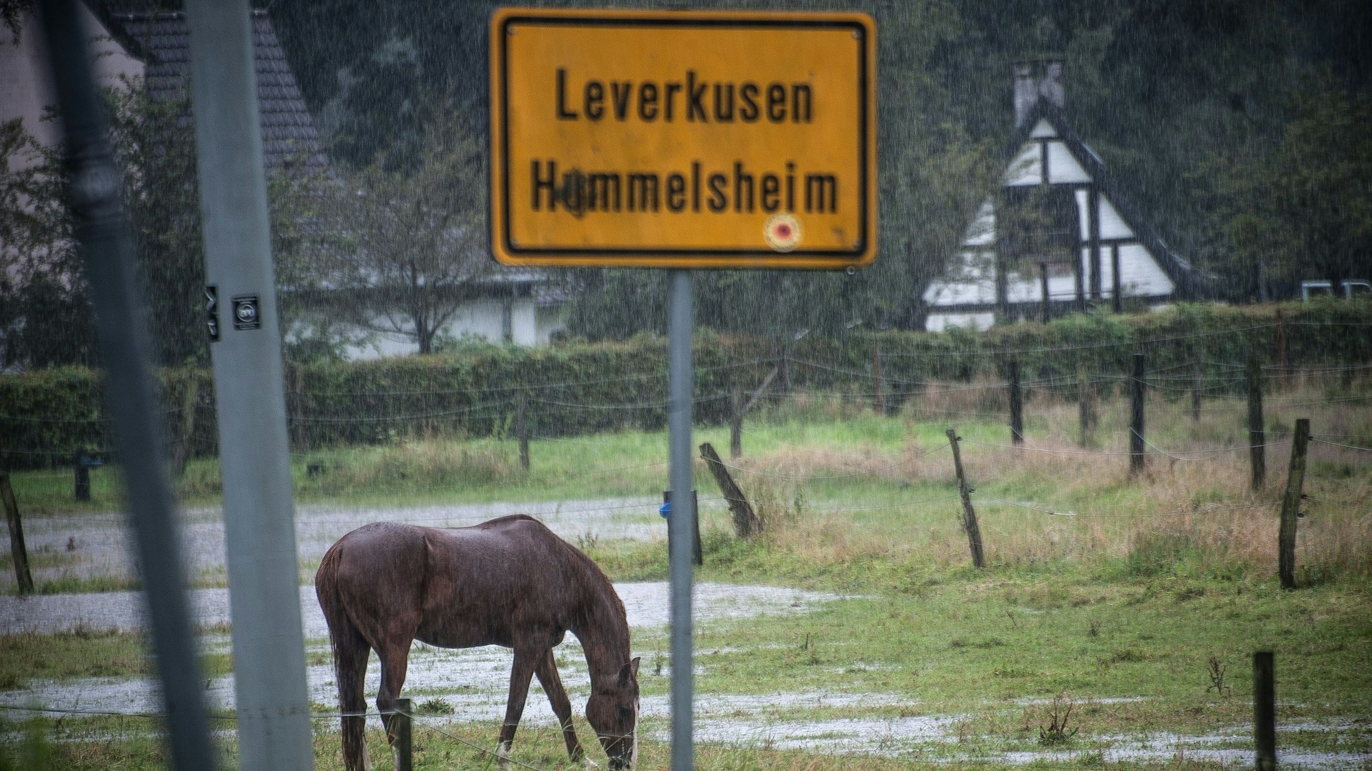 Ein Pferd steht im Starkregen auf einem Feld unter dem Ortsschild der Ortsteils Hummelsheim.