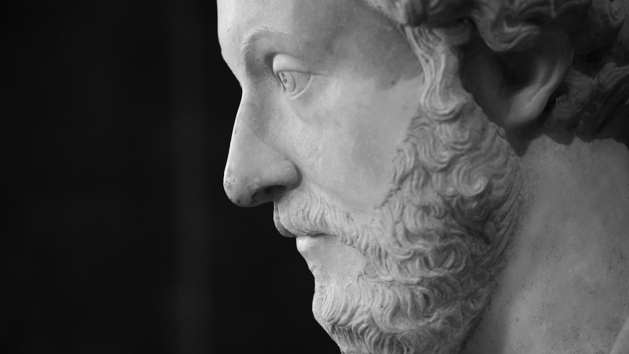 Ein Mann mit Bart ist im Profil zu sehen.