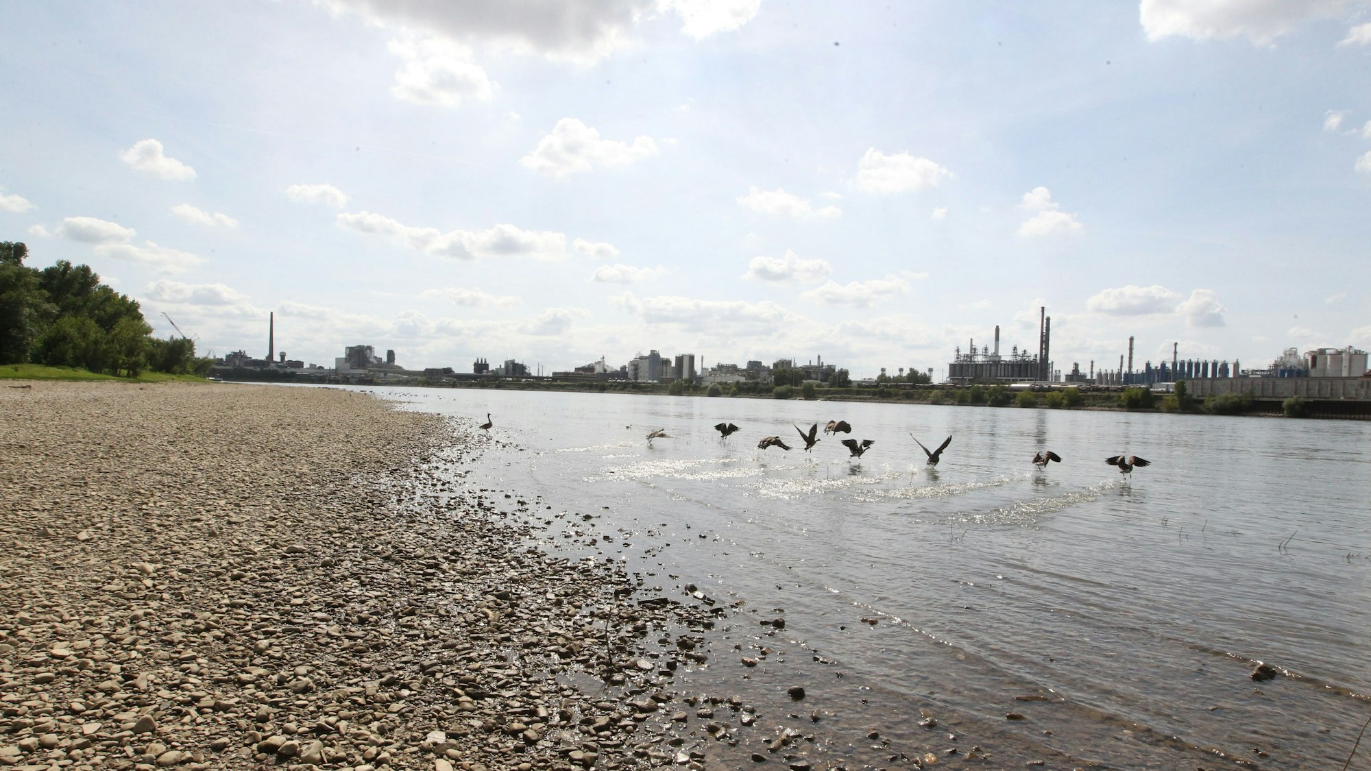 Der tiefste Punkt im rhein-Sieg-Kreis befindet sich in Lülsdorf am Rhein. Am rheinbogen kurz vor der Kreisgrenze und nur ein paar Meter entfernt von Köln-Langel mit 43 Metern über dem Meeresboden.