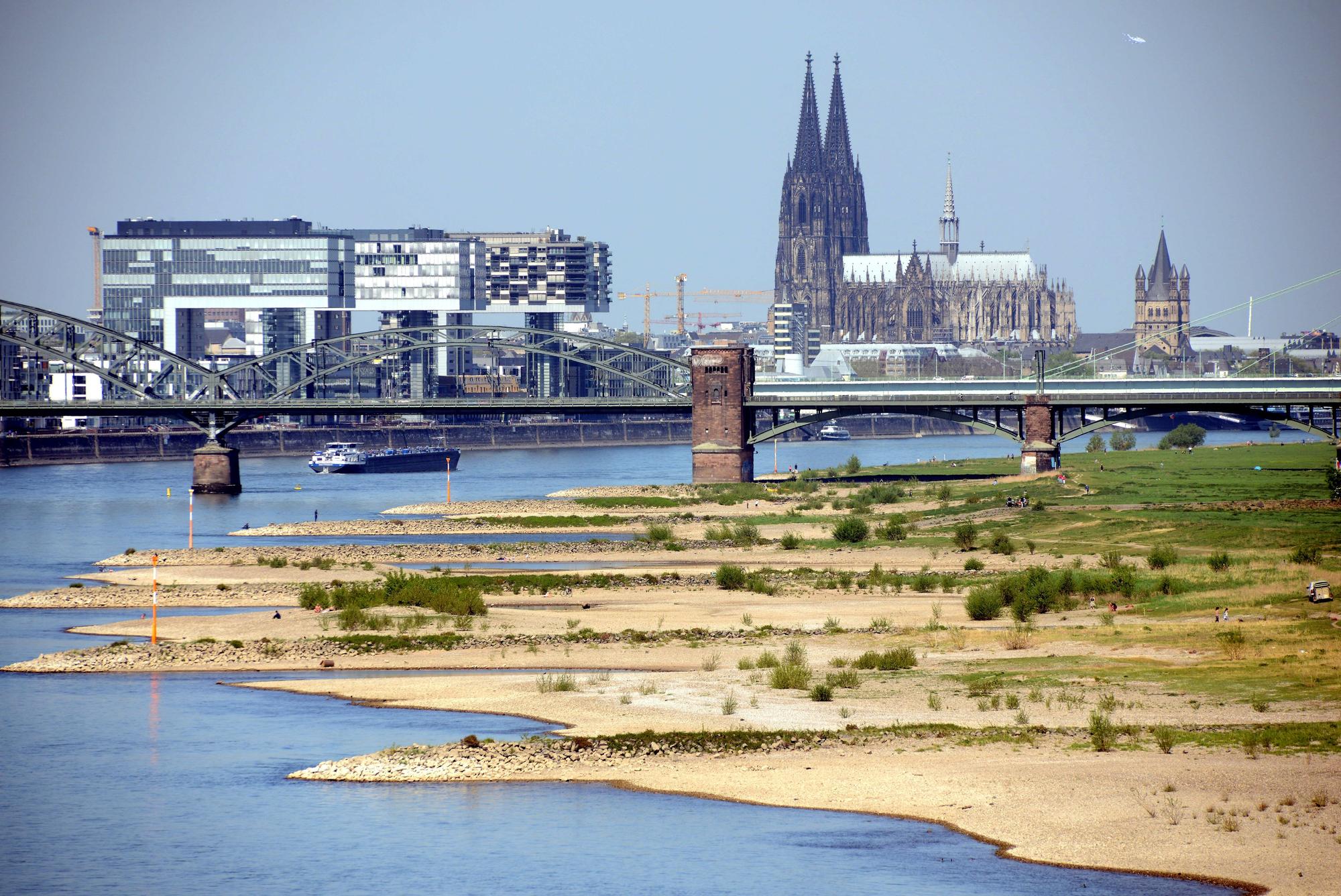 Der Rhein bei Niedrigwasser, fotografiert von den Poller Wiesen mit Blick Richtung Südbrücke, Innenstadt und Dom.