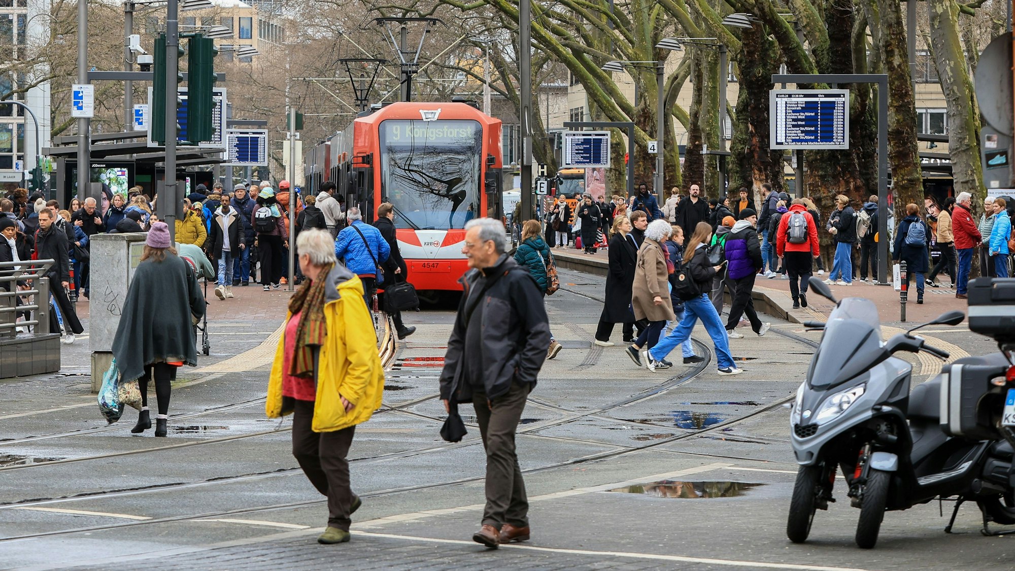 Eine KVB-Bahn am Neumarkt.
