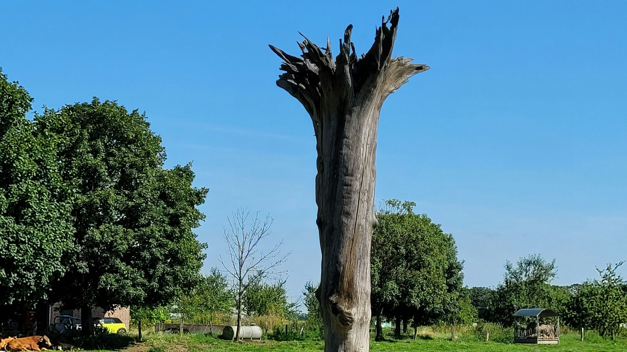 Ein Baumstamm, mit Wurzeln nach oben.
