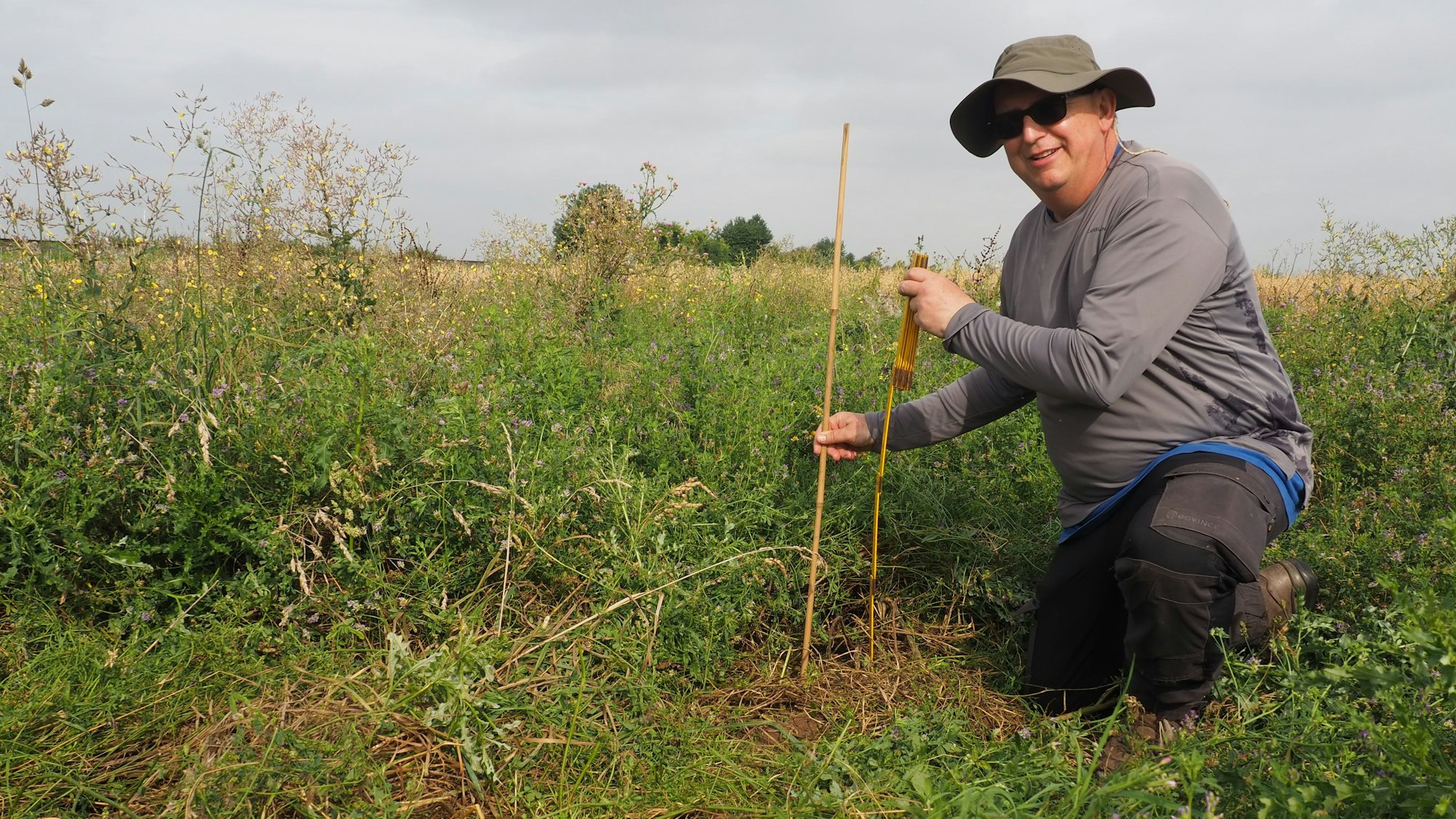 Hubert Metzen misst mit dem Zollstock, wie tief der Hamster gegraben hat. Dazu steckt er einen Stab in den Boden.