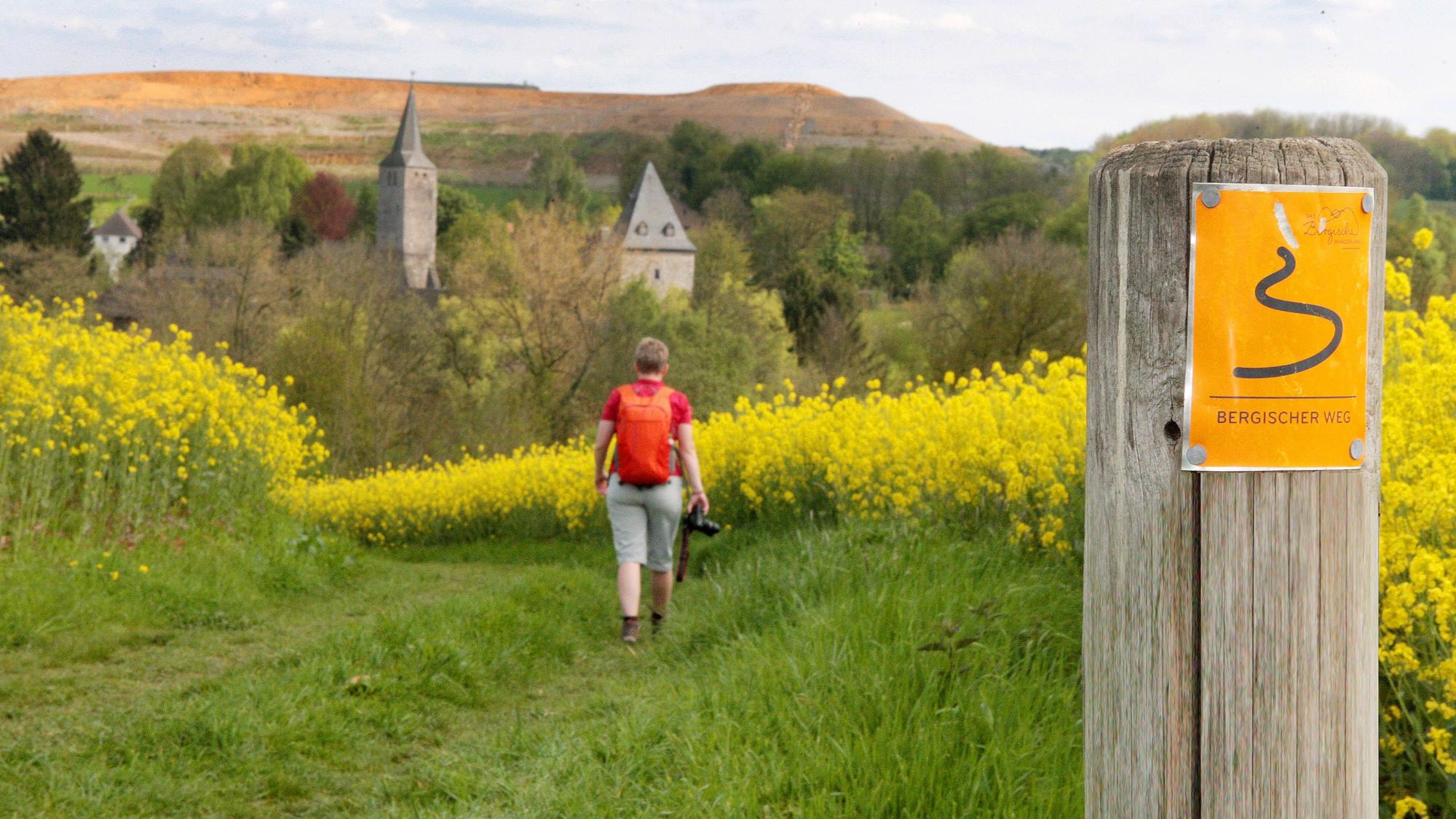 Eine Frau geht auf dem Bergischen Weg über eine Wiese.