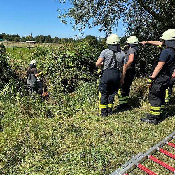 Das Bild zeigt Einsatzkräfte der Feuerwehr an einem Feld. Sie befreiten einen Terrier aus einem unterirdischen Bau.