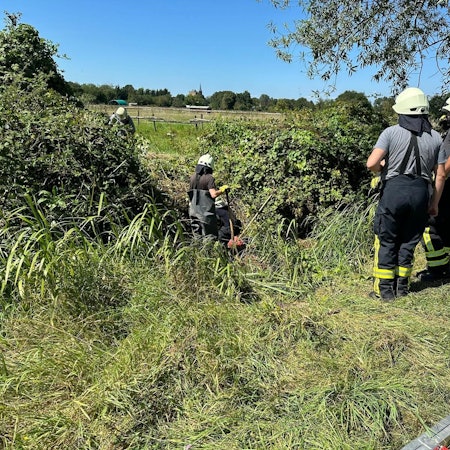 Das Bild zeigt Einsatzkräfte der Feuerwehr an einem Feld. Sie befreiten einen Terrier aus einem unterirdischen Bau.