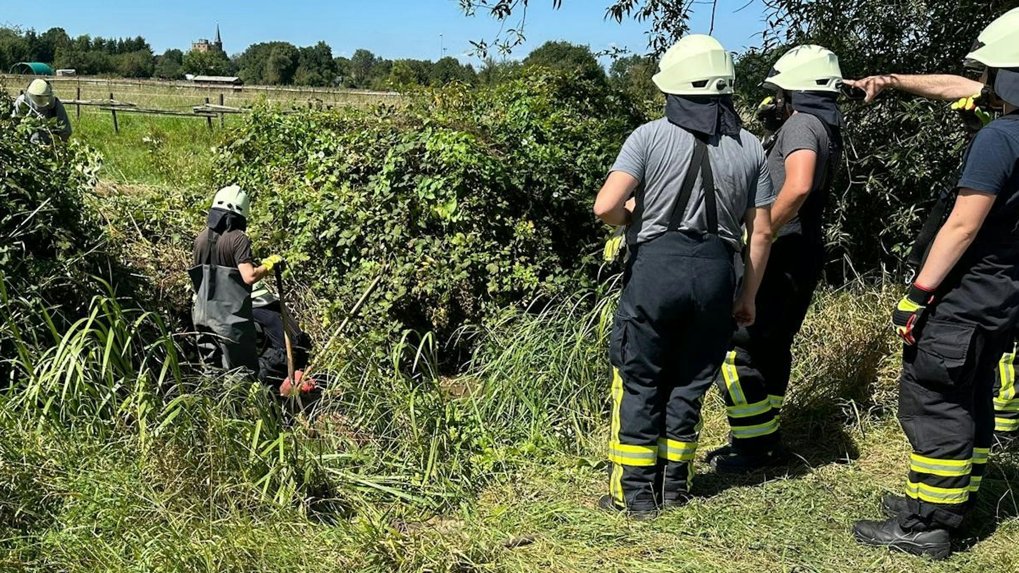 Das Bild zeigt Einsatzkräfte der Feuerwehr an einem Feld. Sie befreiten einen Terrier aus einem unterirdischen Bau.