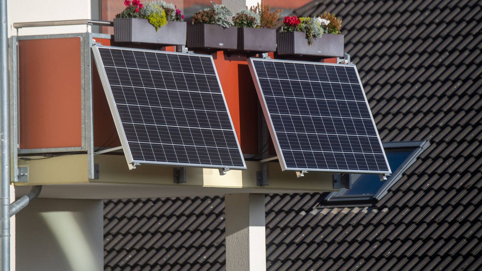 ARCHIV - 07.11.2022, Mecklenburg-Vorpommern, Stralsund: Solarmodule für ein Balkonkraftwerk hängen an einem Balkon. (zu dpa: «Weniger Geld für Solarstrom vom Dach ab August») Foto: Stefan Sauer/dpa +++ dpa-Bildfunk +++