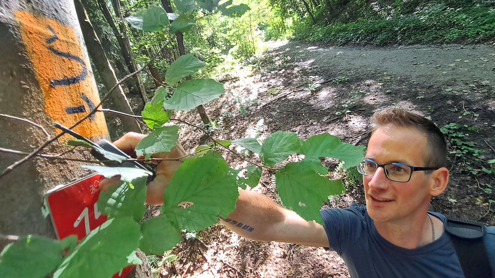 Wegepate Timo Stein schneidet eine Markierung am Bergischen Weg auf dem Lüderich bei Overath frei.