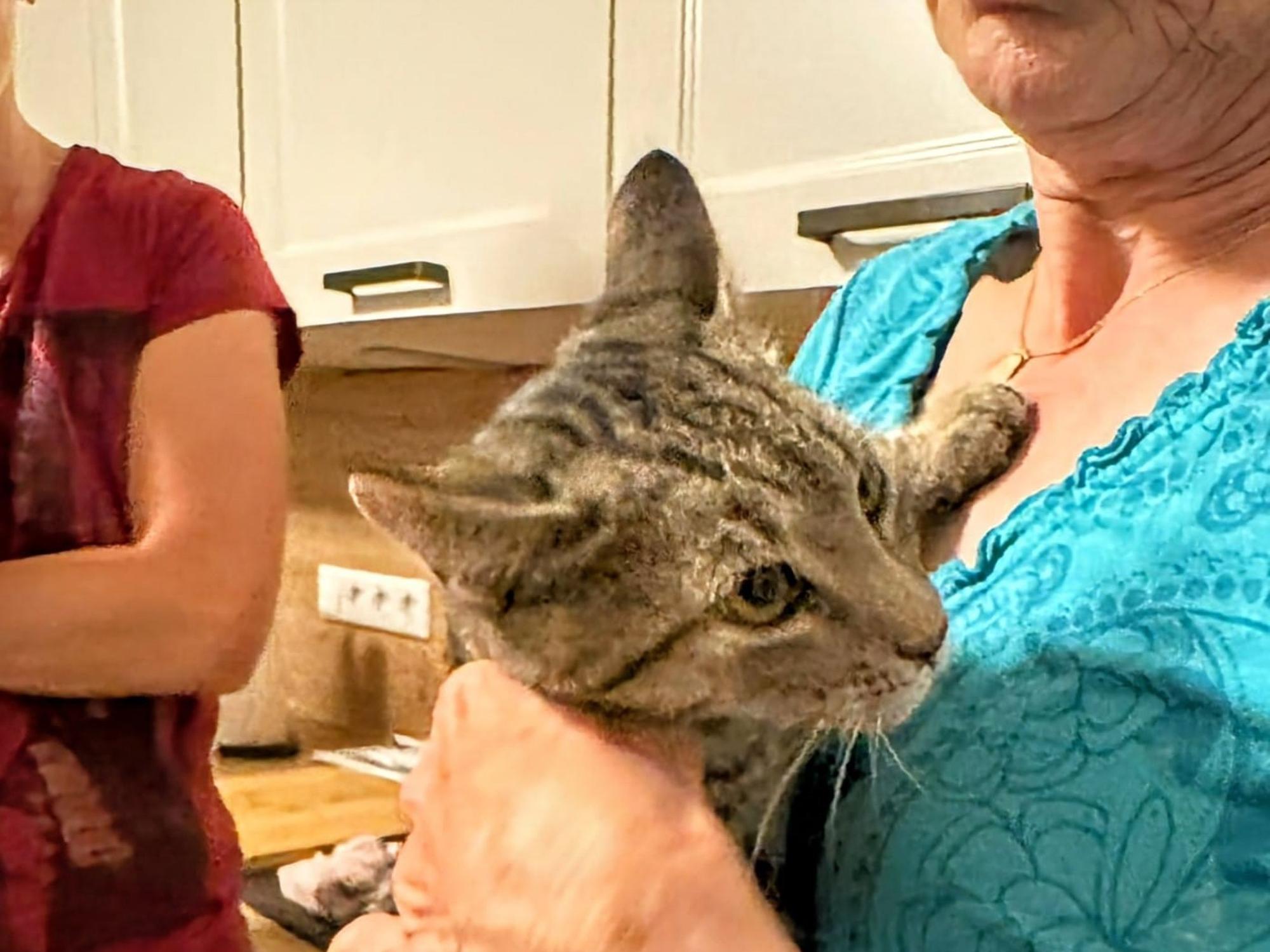 Kater Leo nach siebeneinhalb Stunden endlich aus der Todesfalle gerettet.