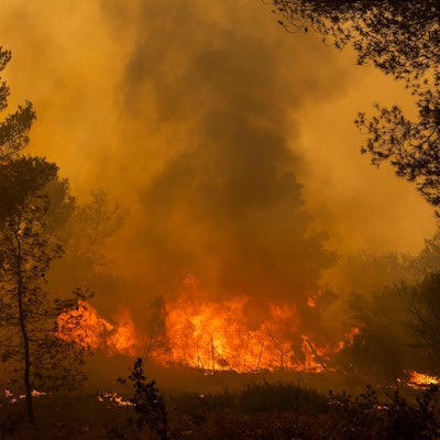 Ein Waldbrand wütet in Penteli, einer Gemeinde in der Region Nord-Athen.