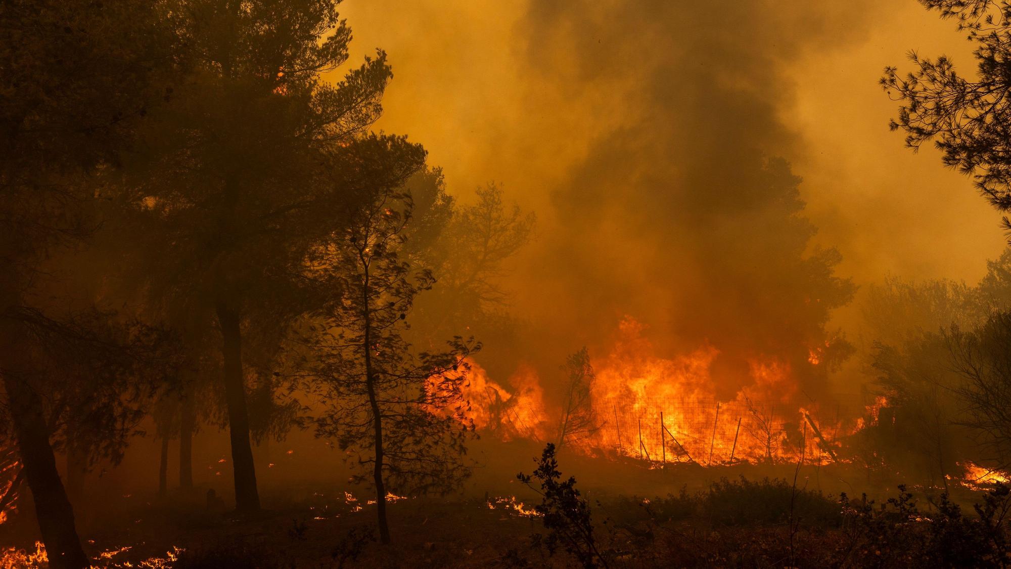 Ein Waldbrand wütet in Penteli, einer Gemeinde in der Region Nord-Athen.