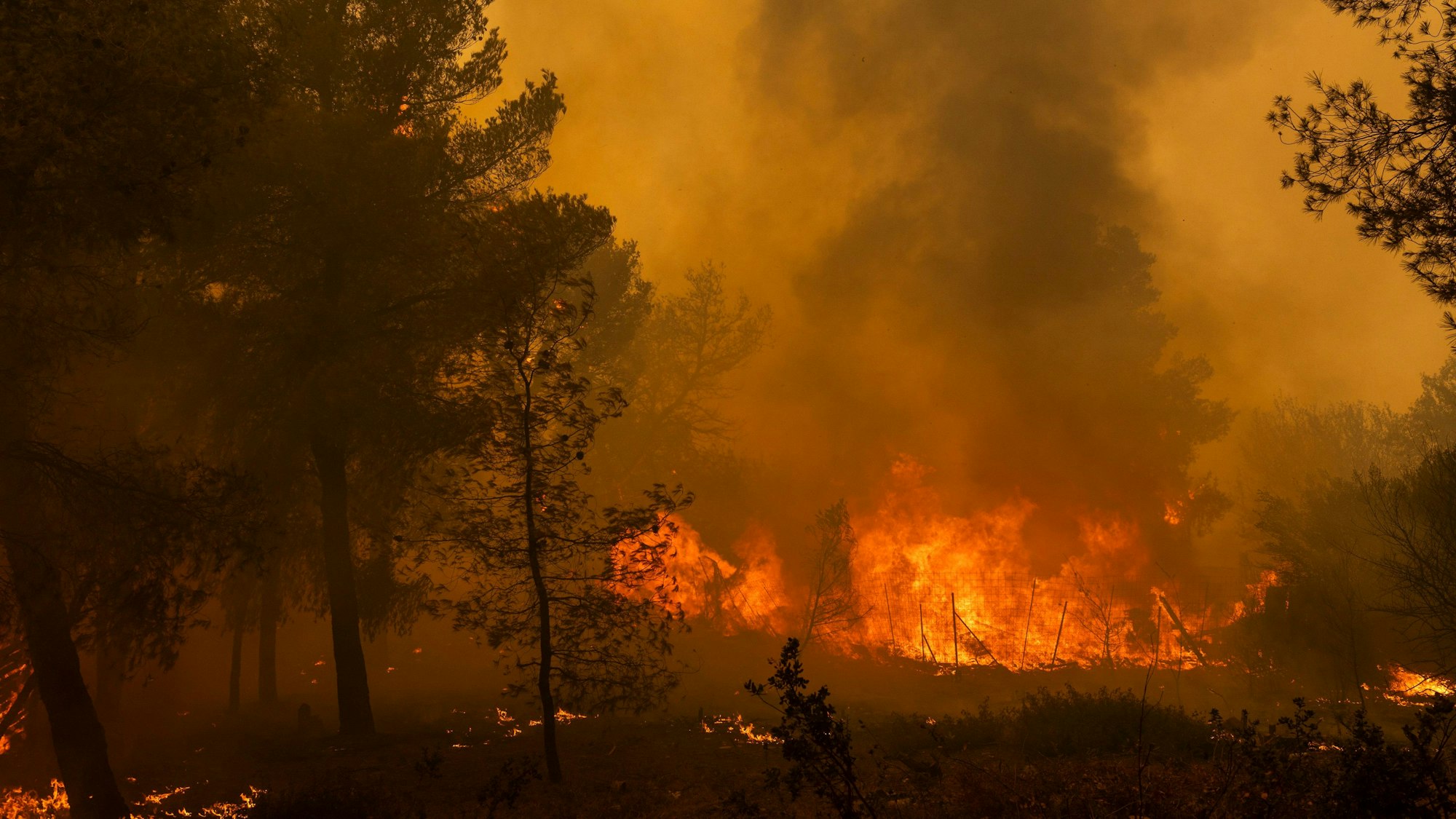 Ein Waldbrand wütet in Penteli, einer Gemeinde in der Region Nord-Athen.