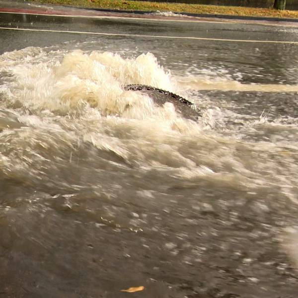 In Leichlingen sollen zwei Speichersysteme Regenwasser aufnehmen, speichern und zeitverzögert ans Erdreich abgeben. (Symbolbild)