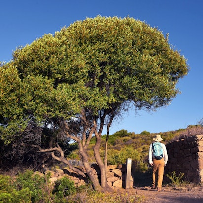 Wanderer auf dem Genueserturm von Omigna auf Korsika.