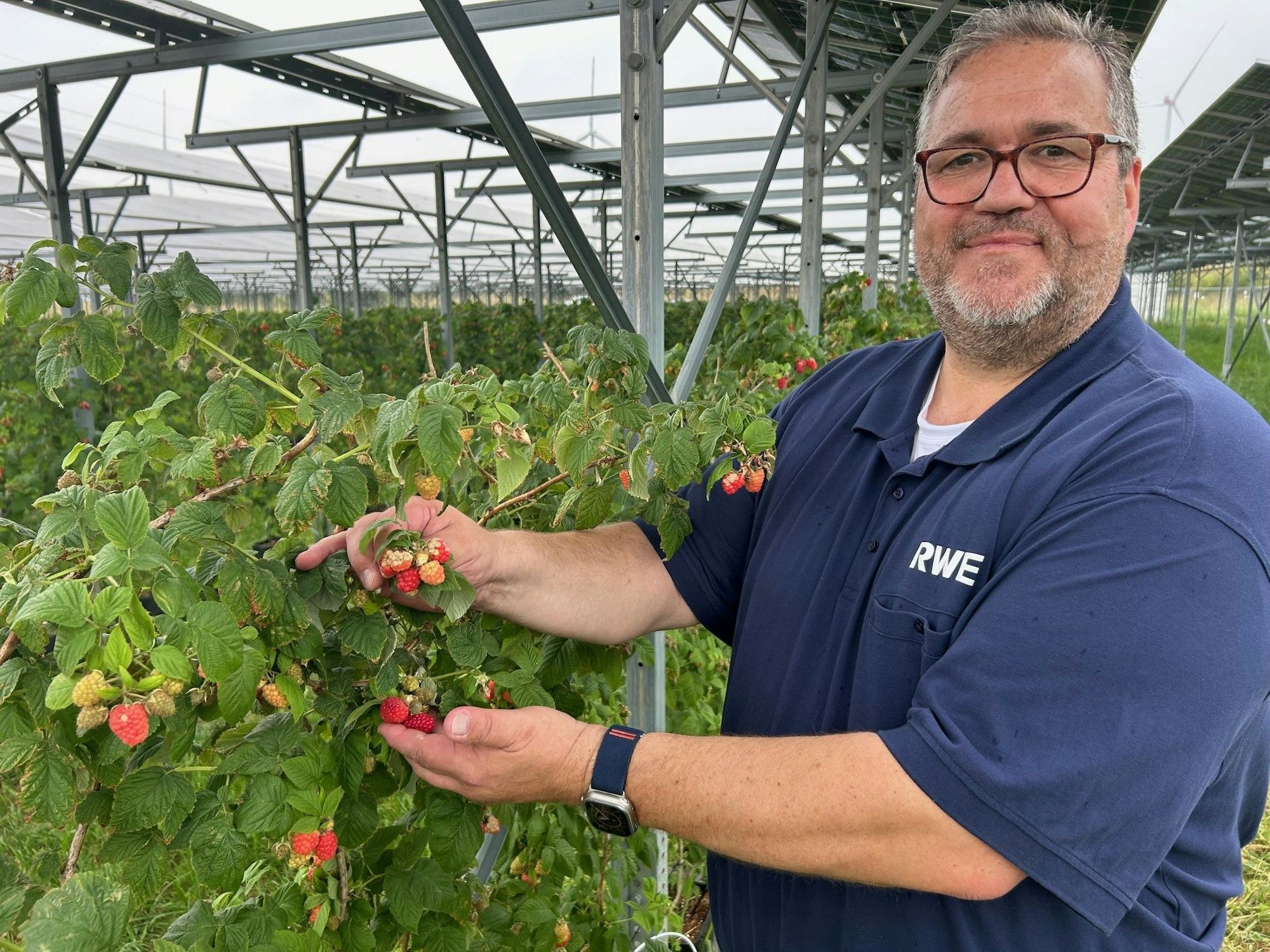 Gregor von Danwitz, Landwirt bei RWE, steht an Himbeerstauden und blickt in die Kamera.