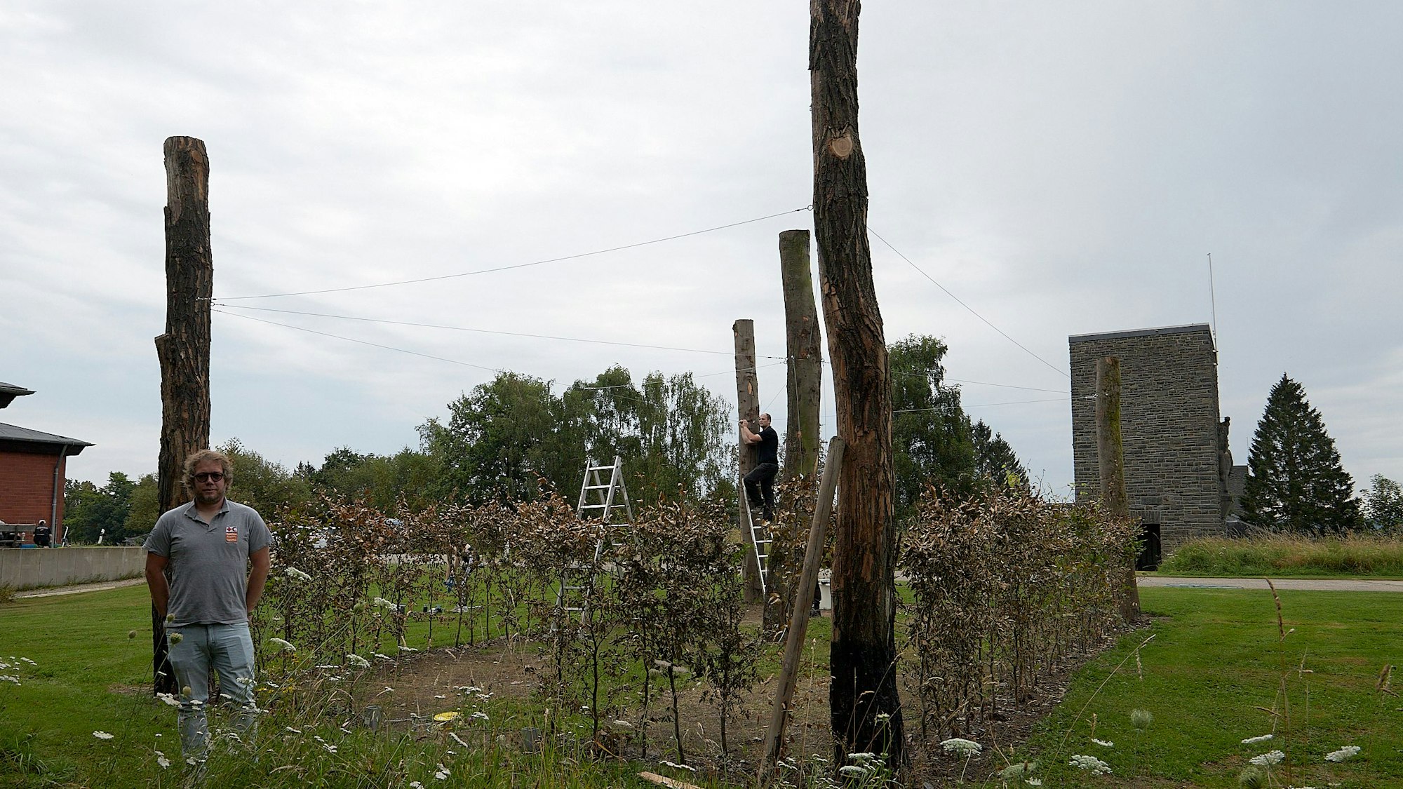 Ein Mann steht in einem umgestalteten Buchenhain.
