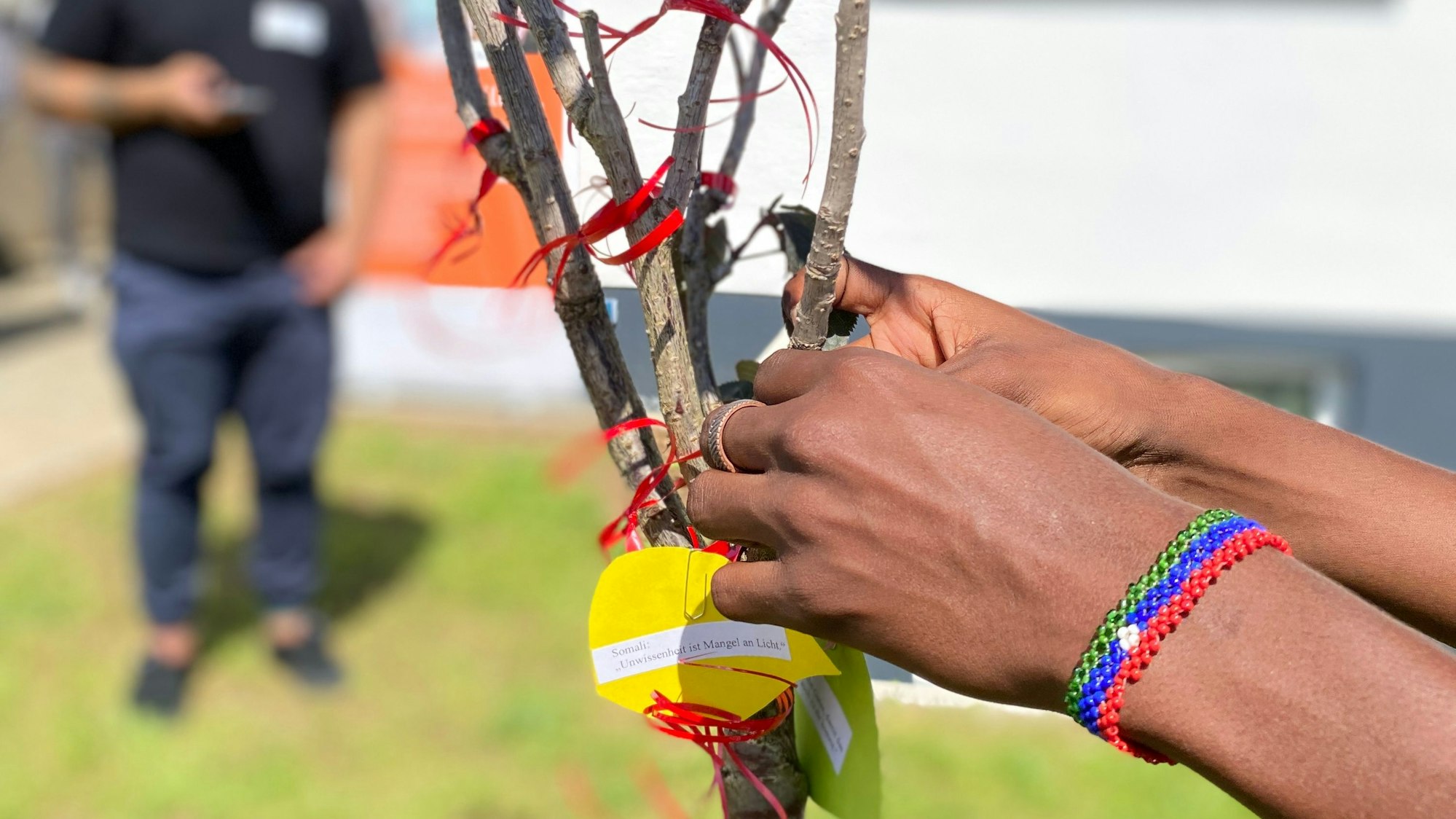 An einem kleinen Baum wird ein Zettel befestigt.