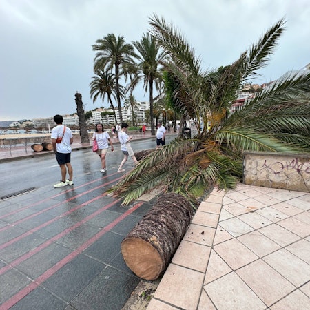 Sturmschäden am Strand von Santa Ponsa im Südwesten von Mallorca am Mittwoch (14. August)