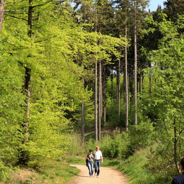 Zu sehen sind zwei Spaziergänger im Lerbacher Wald.
