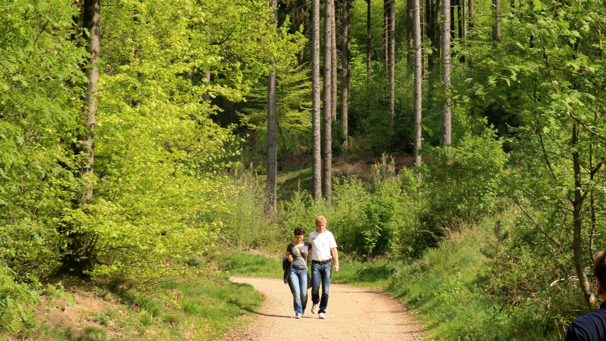 Zu sehen sind zwei Spaziergänger im Lerbacher Wald.