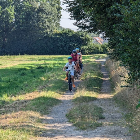 Das Foto zeigt Radfahrer auf einem Feldweg.