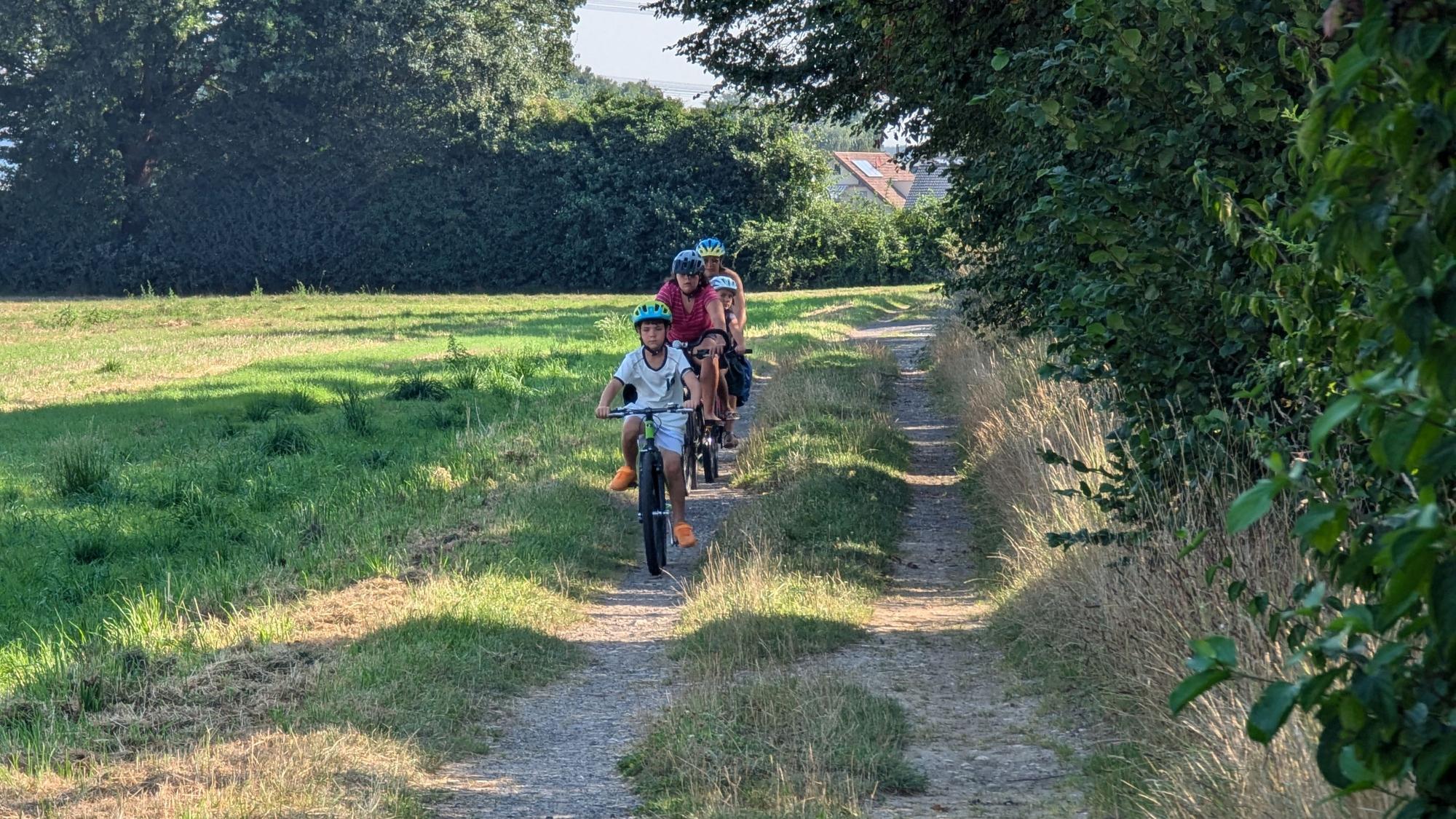 Das Foto zeigt Radfahrer auf einem Feldweg.