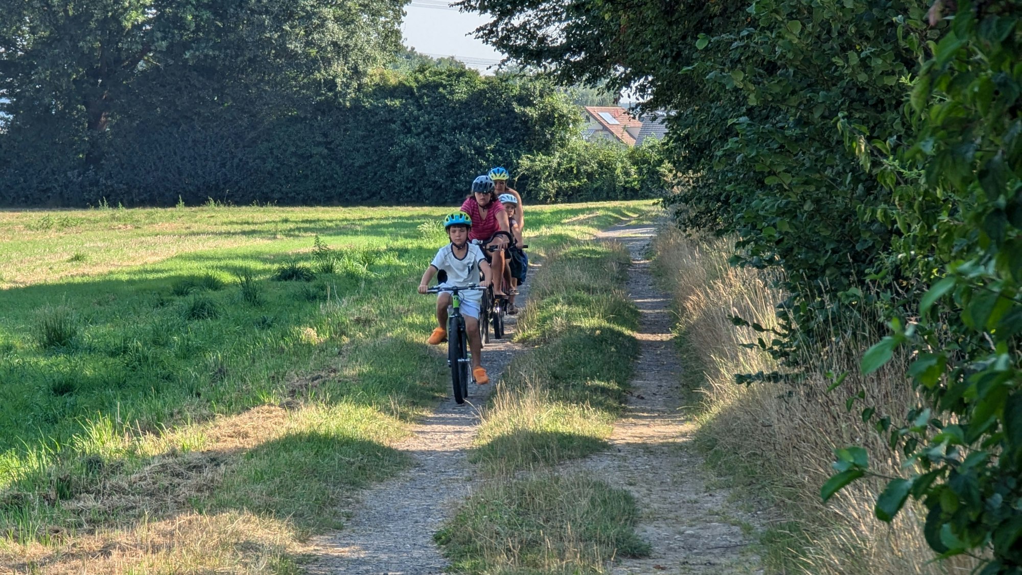 Das Foto zeigt Radfahrer auf einem Feldweg.