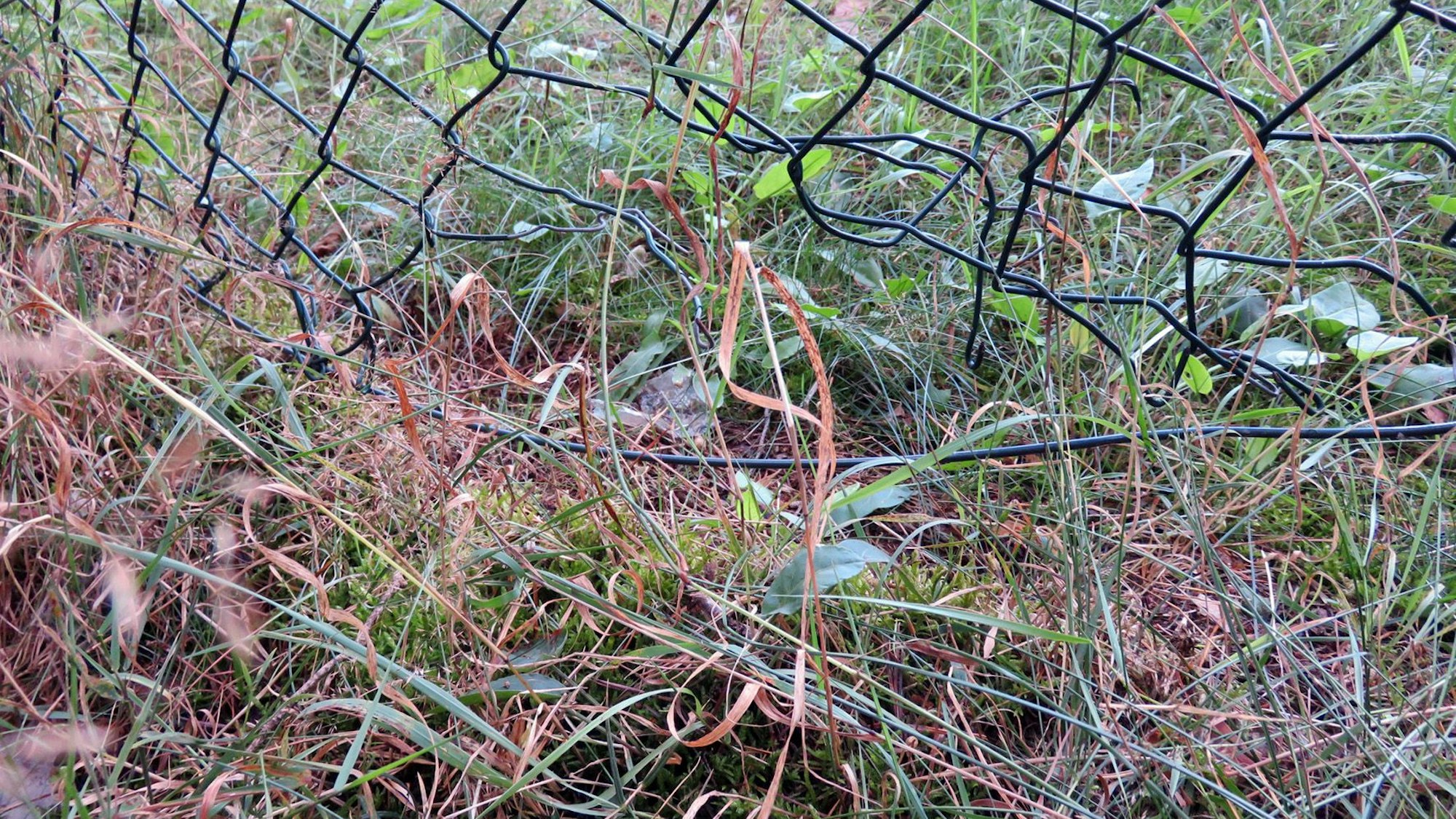 Foto des beschädigten Maschendrahtzauns am Trinkwasser-Hochbehälter in Mechernich.