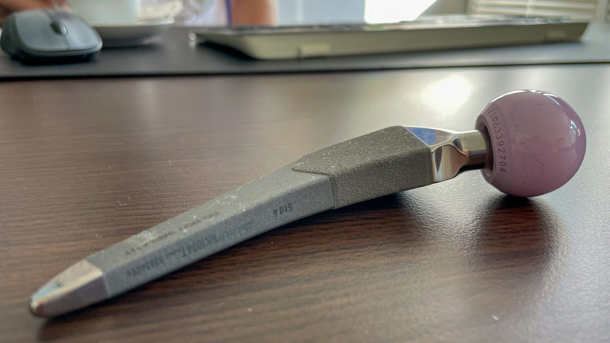 Dieser Schafft mit dem Kugelgelenk wird in eine angepasste Pfanne an der Hüfte eingesetzt.