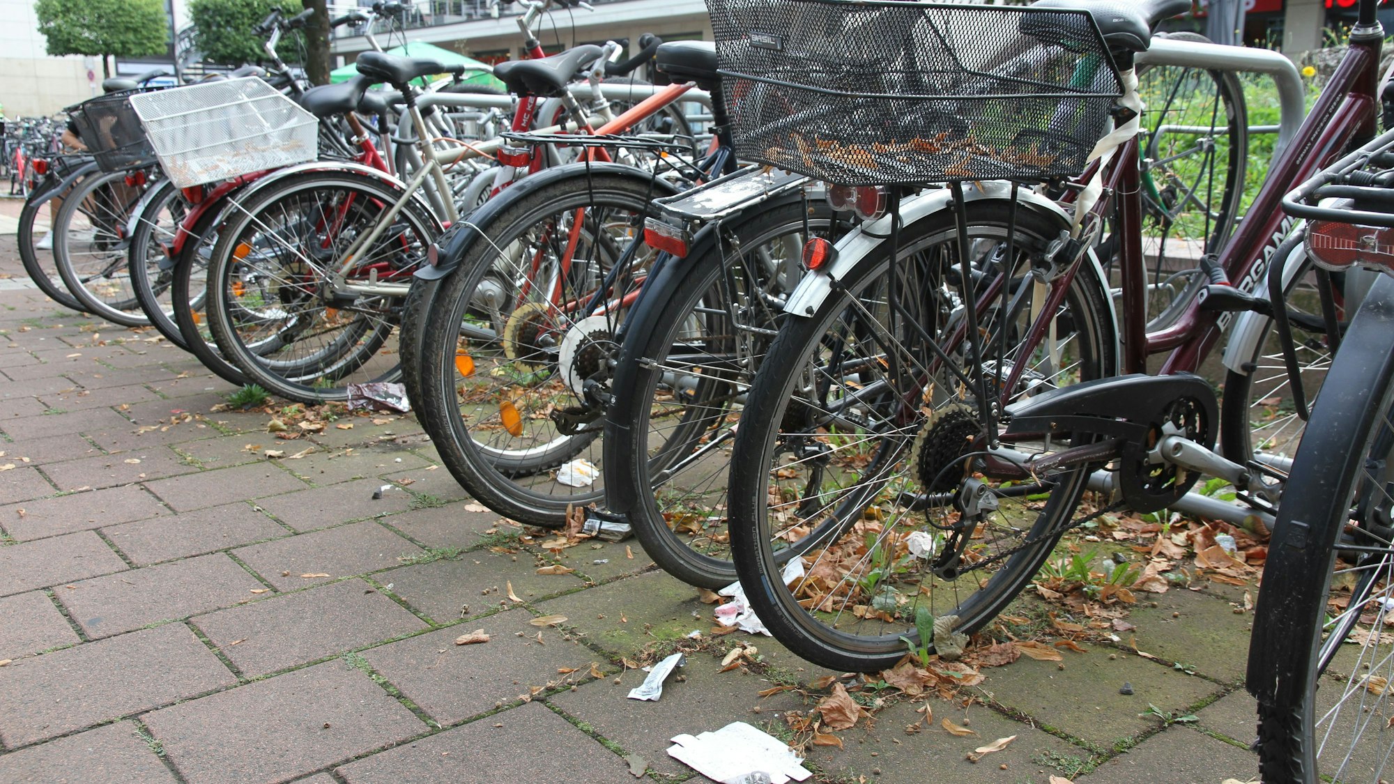 Dreck, Unkraut an Fahrradständern