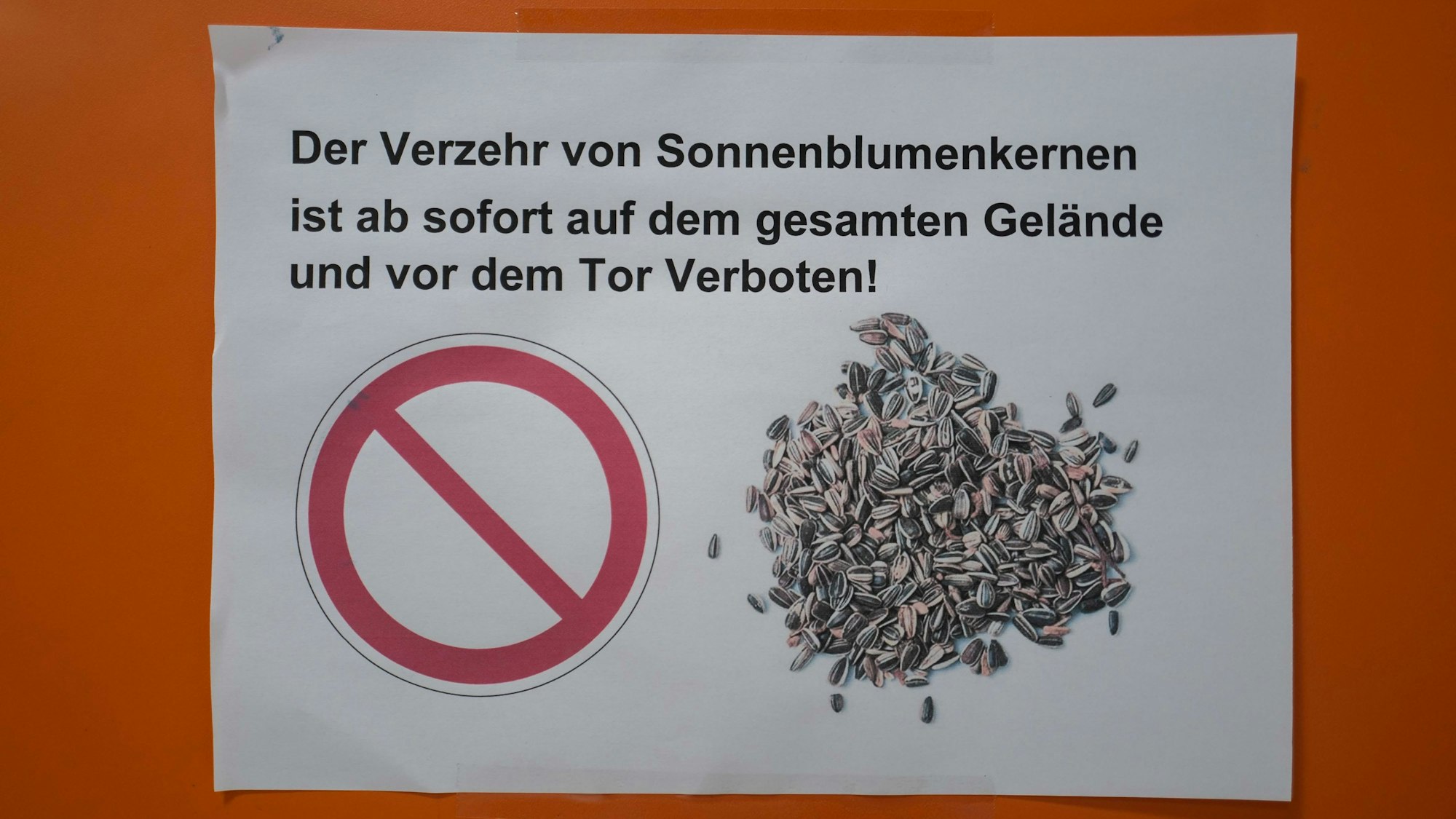 Ein Zettel, der an eine Wand geklebt wurde, ist mit einem Verbot des Verzehrs von Sonnenblumenkernen beschriftet.