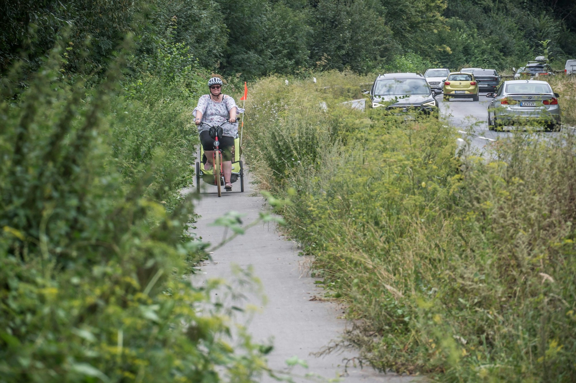Der Radweg an der Raoul-wallenberg-Straße ist weit zugewachsen. Foto: Ralf Krieger