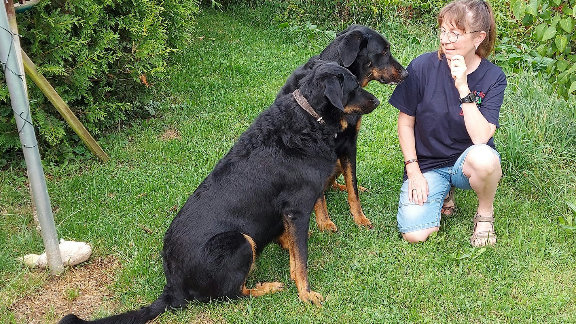 Carina Niesen kniet bei ihren beiden schwarzen Beauceron-Hütehunden Juna (hinten) und Mora.
