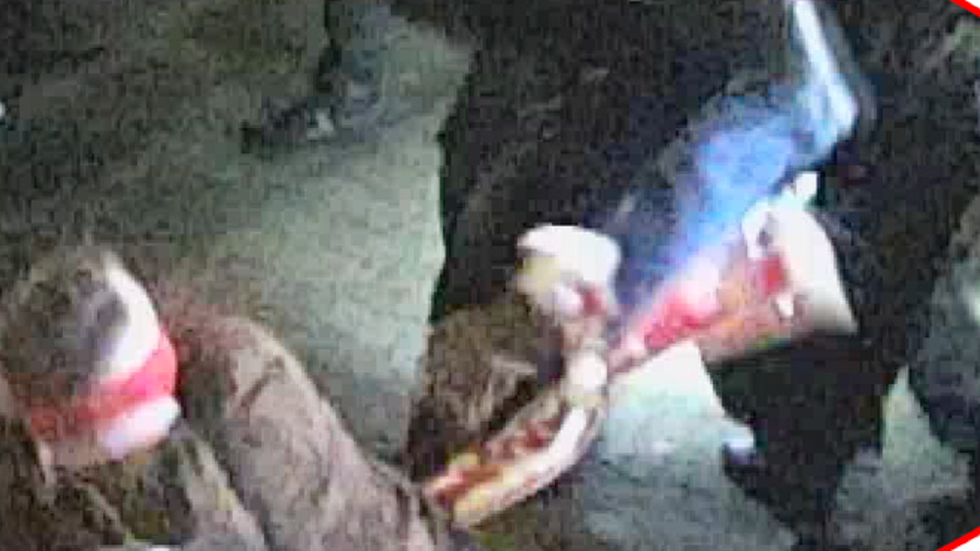 Im Zusammenhang mit dem Fußballbundesligaspiel VfL Bochum gegen den 1. FC Köln im November 2023 kam es zu erheblichen Ausschreitungen durch Kölner Anhänger. Ein unbekannter Tatverdächtiger tritt nach einem Polizeibeamten.