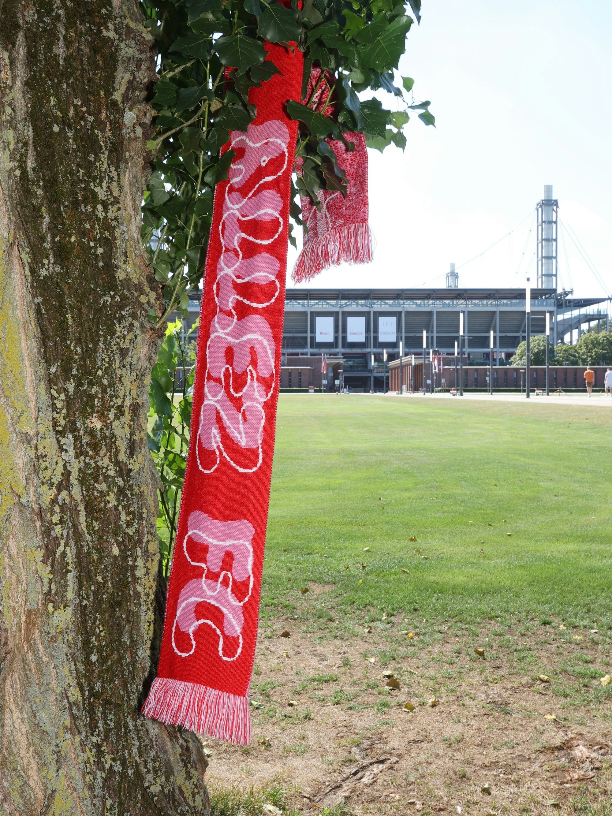 Ein Fan-Schal mit der Aufschrift „Allez FC“ hängt an dem Ast eines Baums vor dem Müngersdorfer Stadion.