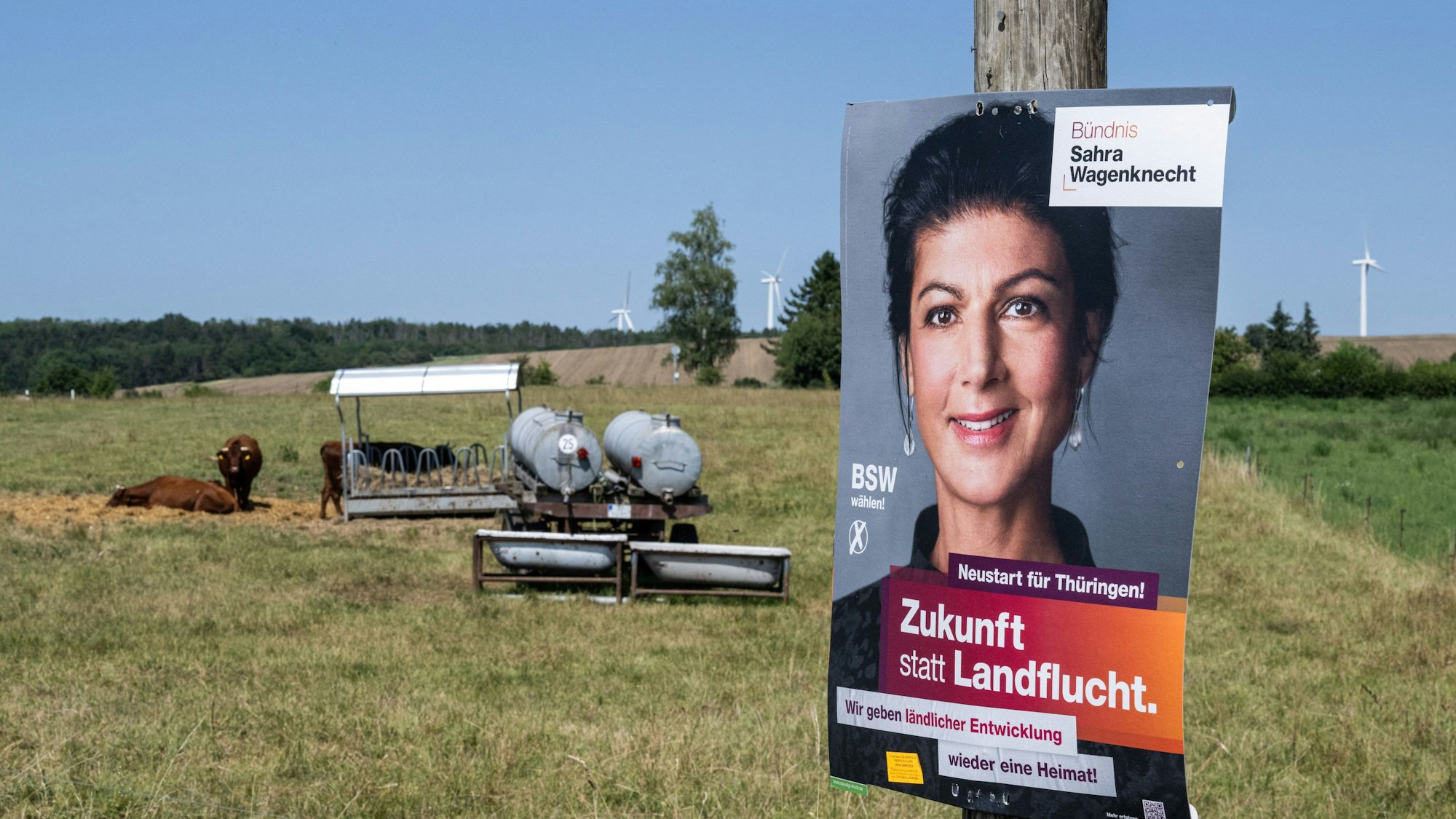 Ein Wahlplakat der Partei Bündnis Sahra Wagenknecht (BSW) mit dem Slogan «Zukunft statt Landflucht» hängt an einem Pfahl vor einer Wiese mit Kühen und Windrädern.