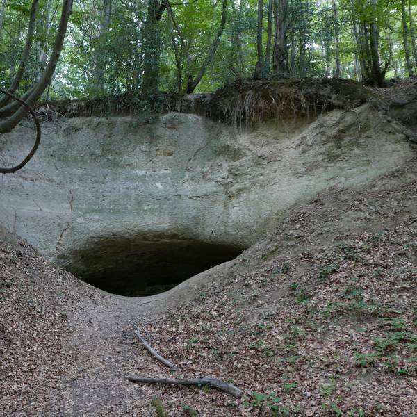 Blick in einen Eingang zu einer Höhle im Siebengebirge.