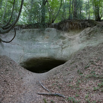 Blick in einen Eingang zu einer Höhle im Siebengebirge.