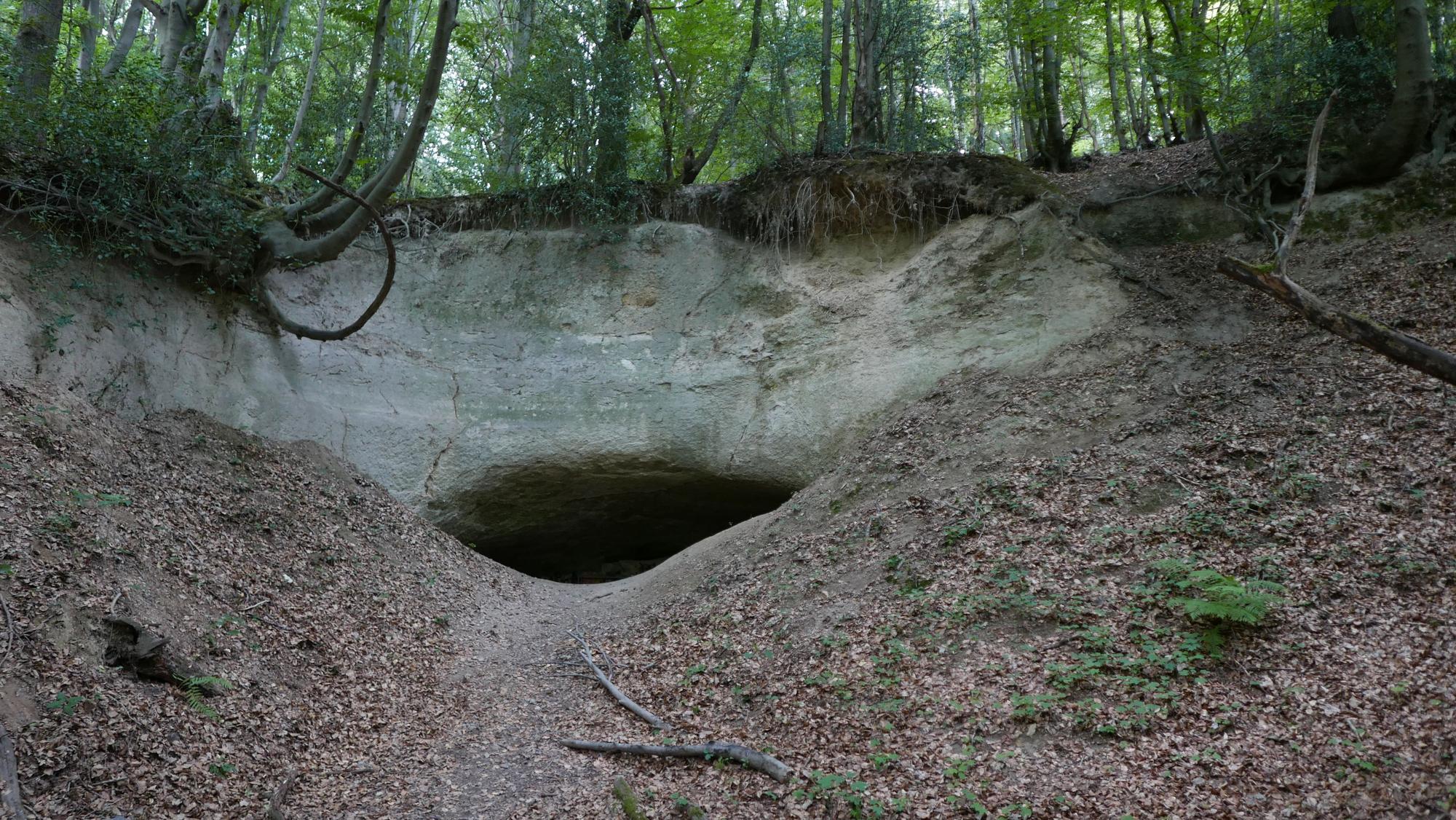 Blick in einen Eingang zu einer Höhle im Siebengebirge.
