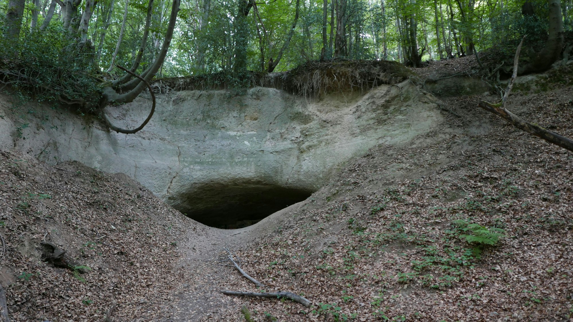 Blick in einen Eingang zu einer Höhle im Siebengebirge.