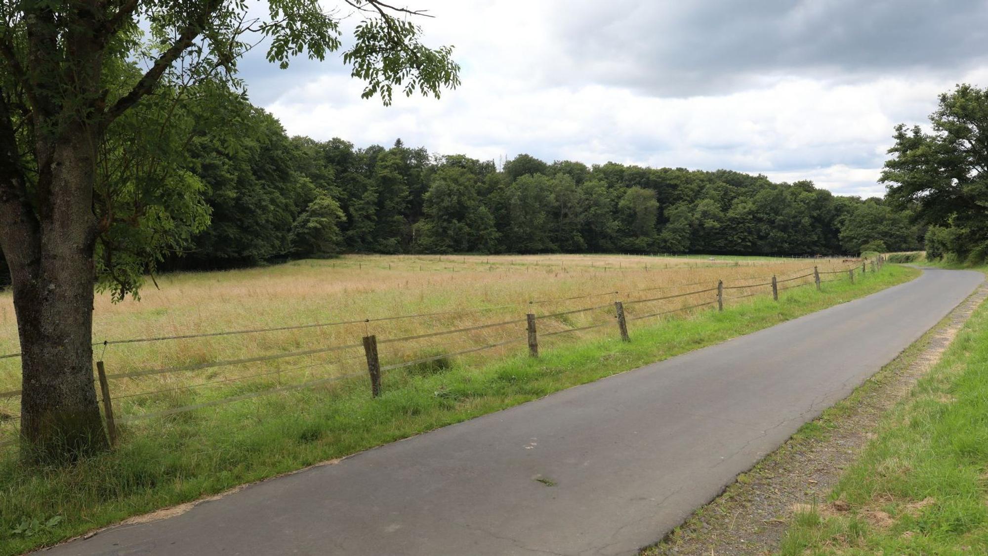 Eine Landschaft mit Feldern und Bäumen sowie eine schmale Fahrbahn.
