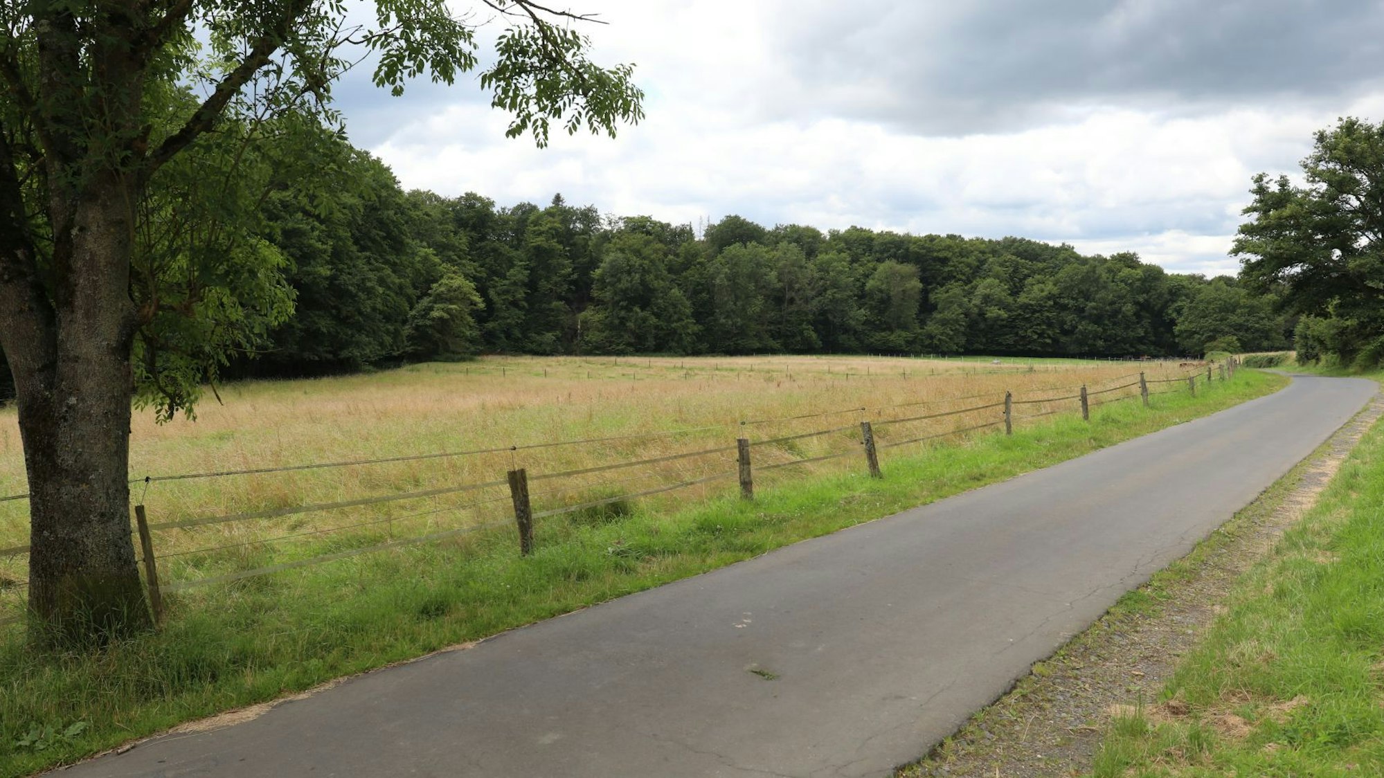 Eine Landschaft mit Feldern und Bäumen sowie eine schmale Fahrbahn.