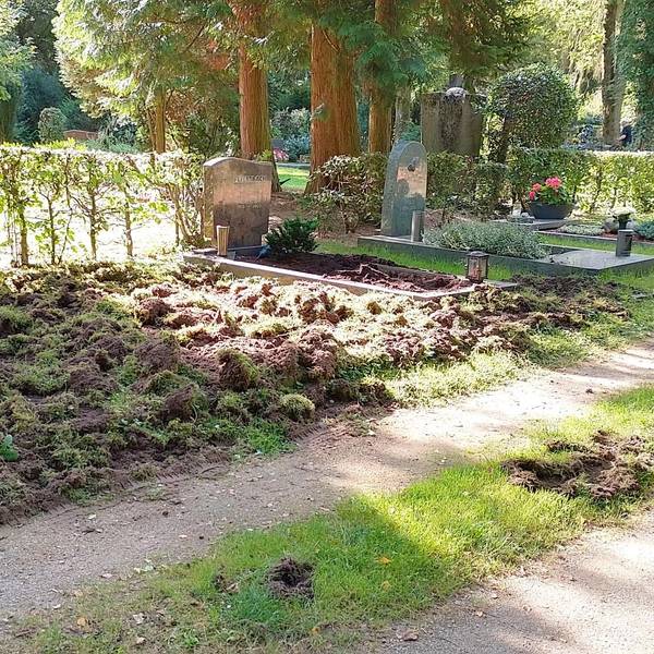 Aufgewühlte Fläche zwischen zwei Gräbern auf einem Friedhof