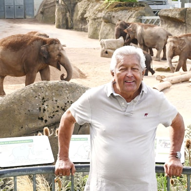 Der ehemalige Chef-Elefantenpfleger des Kölner Zoos, Brian Batstone, steht vor dem Elefantengehege.