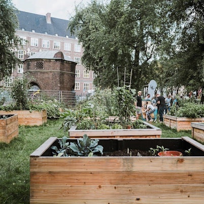 Hochbeete auf einer Wiese im Belgischen Viertel.