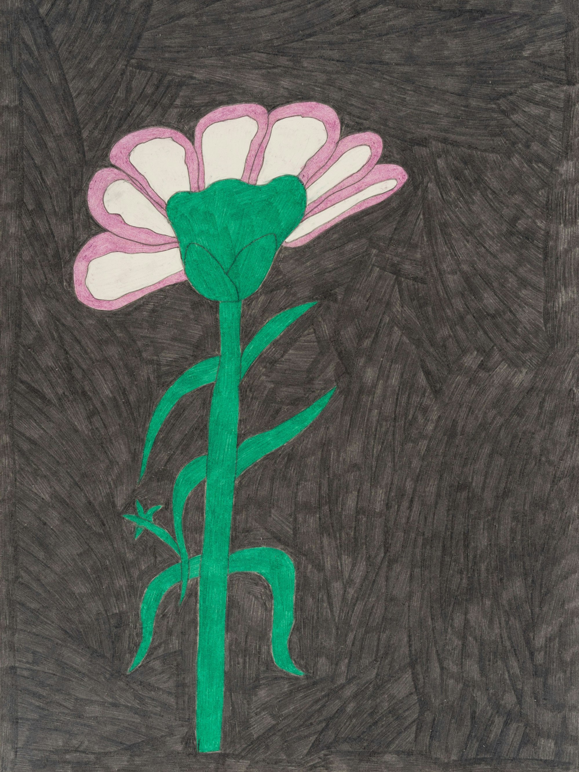 Eine gezeichnete Blume mit grünem Stängel und weiß-rosafarbenen Blüten steht vor einem braunen Hintergrund.